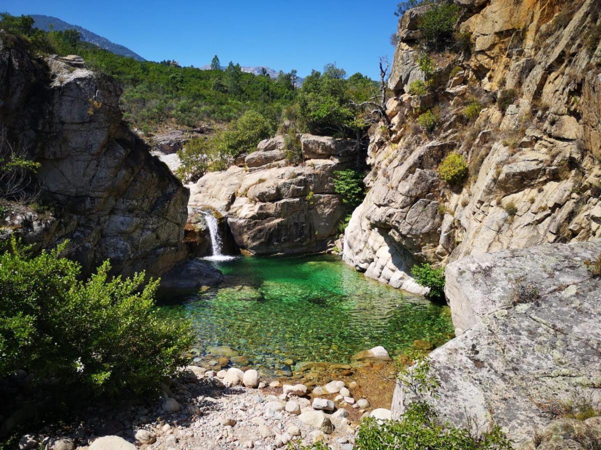 Un Petit Paradis Pinarellu Exterior foto