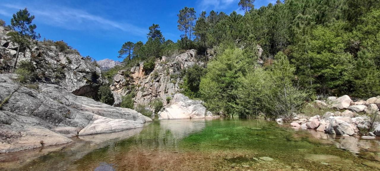 Un Petit Paradis Pinarellu Exterior foto