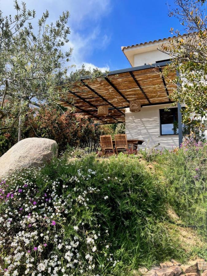 Un Petit Paradis Pinarellu Exterior foto